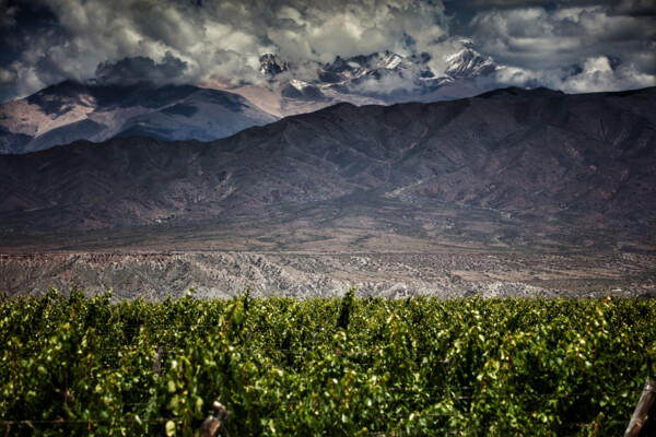 COLOME_Stahl_0395 - copia.jpeg